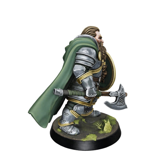 Oakshield Champion-Detailed Sculpt Miniature for RPG, Display & Collection