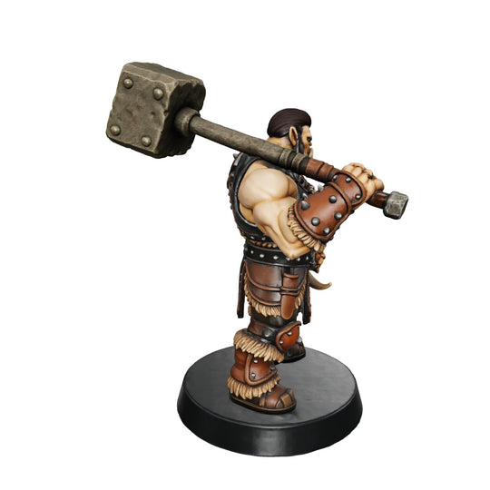Fantasy Miniatures - Detailed Sculpt Miniature for RPG, Display & Collection