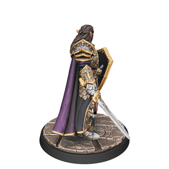 Twilight Oath Paladin-Detailed Sculpt Miniature for RPG, Display & Collection